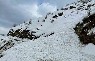 Siirt’te çığ düşmesi sonucu öğrenci ve öğretmenler...