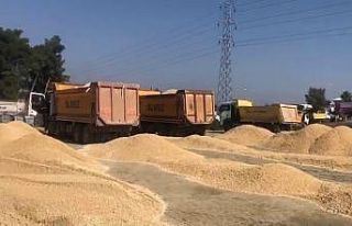 Siirt’ten giden ekip Hatay’da şantiye kurdu