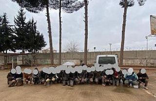 Sınırda 37 göçmen yakalandı