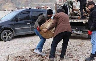 Sular altında kalacak olan ilçedeki ağaçlar depremzedeleri...