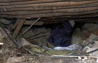 Sürünerek girip enkazın altındaki ineğini besliyor