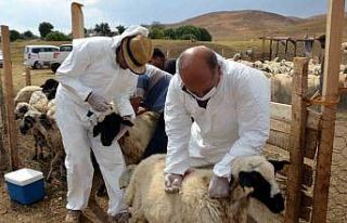 Talas’ta Tarımsal Kalkınmaya Destek Sürüyor