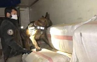 TEM’de durdurulan saman yüklü tırdan 99 kilo...