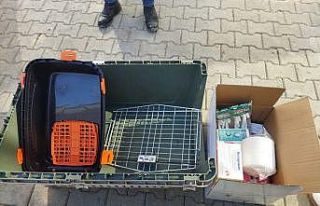 Tepebaşı Belediyesi’nden organize patilerin kampanyasına...