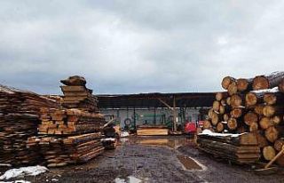 Tomruğun altında kalan adam hayatını kaybetti