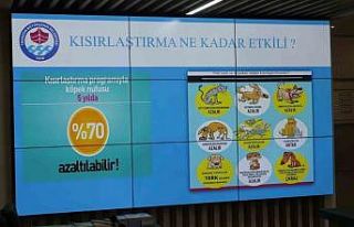 Trabzon’da başıboş köpeklerle topyekün mücadele...