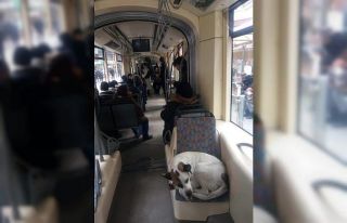 Tramvayda yolculuk ederek soğuktan kaçındılar