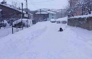 Tunceli’de 251 köy yolu ulaşıma kapandı