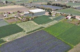 Türkiye’deki 440 ova özel koruma kalkanında