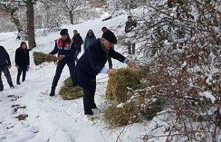 Yaban hayvanları unutulmadı