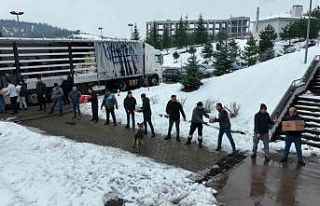 Yapılan yardımlar çığ gibi büyüyor