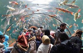 Yıldırım’da tünel akvaryumu 10 günde 40 bin...