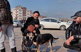 Yok böyle dostluk...Tedavi gören engelli sahibini...