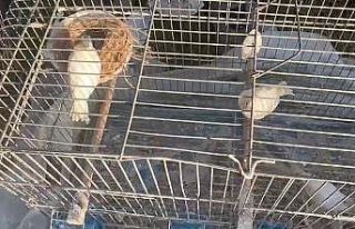 Yüzyılın felaketinde enkaz altından 6 kafes kanarya...