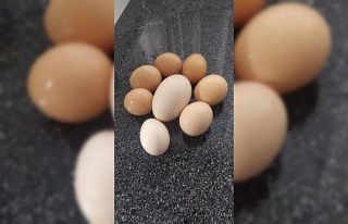117 gramlık yumurta görenleri şaşırttı