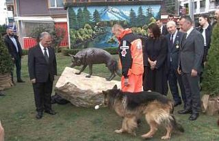 17 Ağustos depreminin kahraman arama kurtarma köpeğinin...