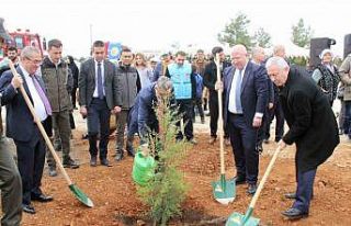 2 bin fidan toprakla buluştu