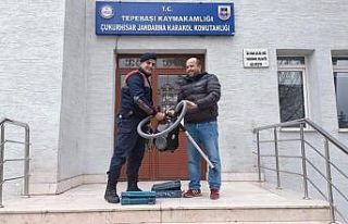 6 hırsızlık olayının 5 şüphelisini jandarma...