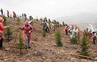 6 Şubat 2023 Deprem Şehitleri Hatıra Ormanı’nda...