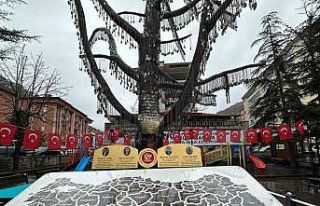 81 ilden toprağın getirildiği Anıt Ağacı’ndaki...