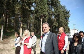 9 bin yıllık Yumuktepe Höyüğü, açık hava müzesine...