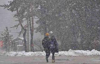 Abant’ta tatilciler lapa lapa yağan karın tadını...