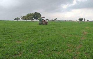 Adana’da meralarda ilkbahar gübrelemesi yapıldı