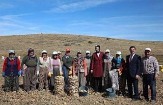 Afet bölgesinde üretilemeyen tarım ürünleri Afyonkarahisar’da...