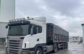 Afet bölgesindeki besicilere yem desteği