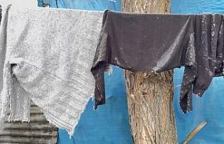 Ağrı’da çamaşırlar dondu