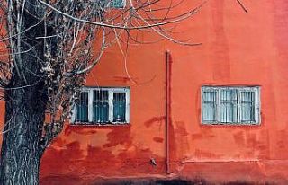 Ağrı’nın manzarası fotoğrafları süsledi