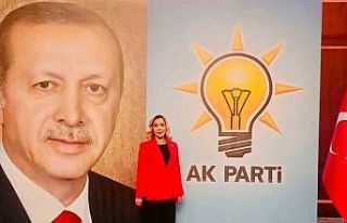 AK Parti Muğla Milletvekili Gökcan aday adaylığı...