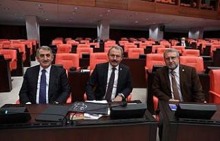 AK Partili Şahin Tin, yargıda yapılan yeni düzenlemeleri...