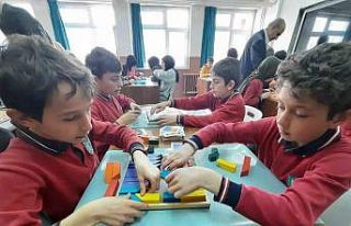 Akıl ve zekâ oyunları sınıflarının sayısı...