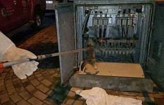 Alanya’da trafoya giren kedi akıma kapılıp telef...