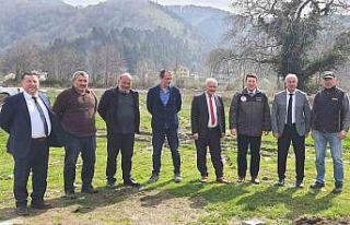 Alaplı’da ’Karaçatlak’ üzümünün üretimi...