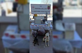 Ankara’da 40 kilo kaçak tütün ele geçirildi