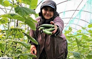 Antalya Hali’nde bahar hareketliliği: Ürün fiyatları...