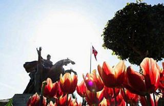 Antalya rengârenk lalelerle süslendi