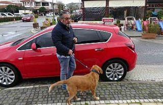 Antalya’da Alman vatandaşı bu kez de köpekle...