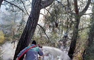 Antalya’daki orman yangını 2 saatte kontrol altına...