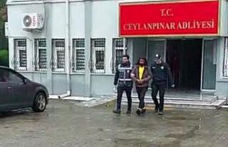 Aranan dolandırıcı Şanlıurfa’da yakalandı