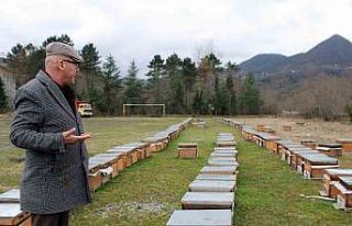 Arıcılara "ilkbahar bakımı" uyarısı