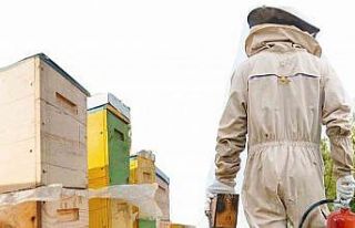 Arıcılara yangın tüpü zorunluluğu