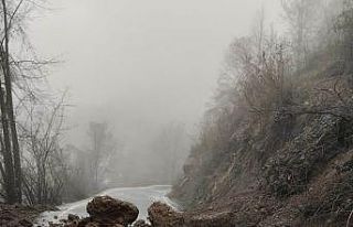 Aşırı yağışlar heyelana sebep oldu