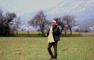 Ata tohumu desteği ile ekilemeyen alanlar tarıma...