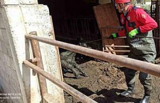 Atık kuyusuna düşen ineği itfaiye kurtardı