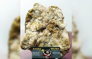 Avustralya’da altın avcısı büyük bir külçe...