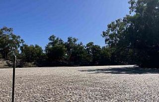 Avustralya’daki Darling Nehri’nde yüz binlerce...