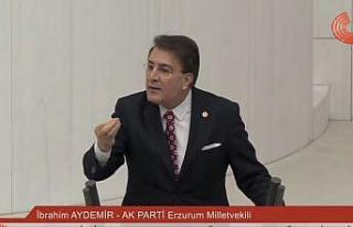 Aydemir TBMM’de Erzurum’un manasını paylaştı
